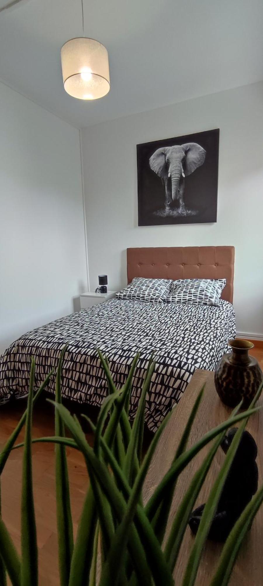 Maison Charmante Avec Patio ! 부르주 외부 사진